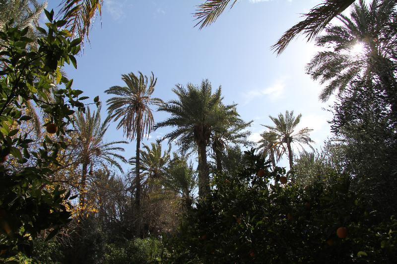 Hotel Jnane Tamsna Marrakesch Exterior foto