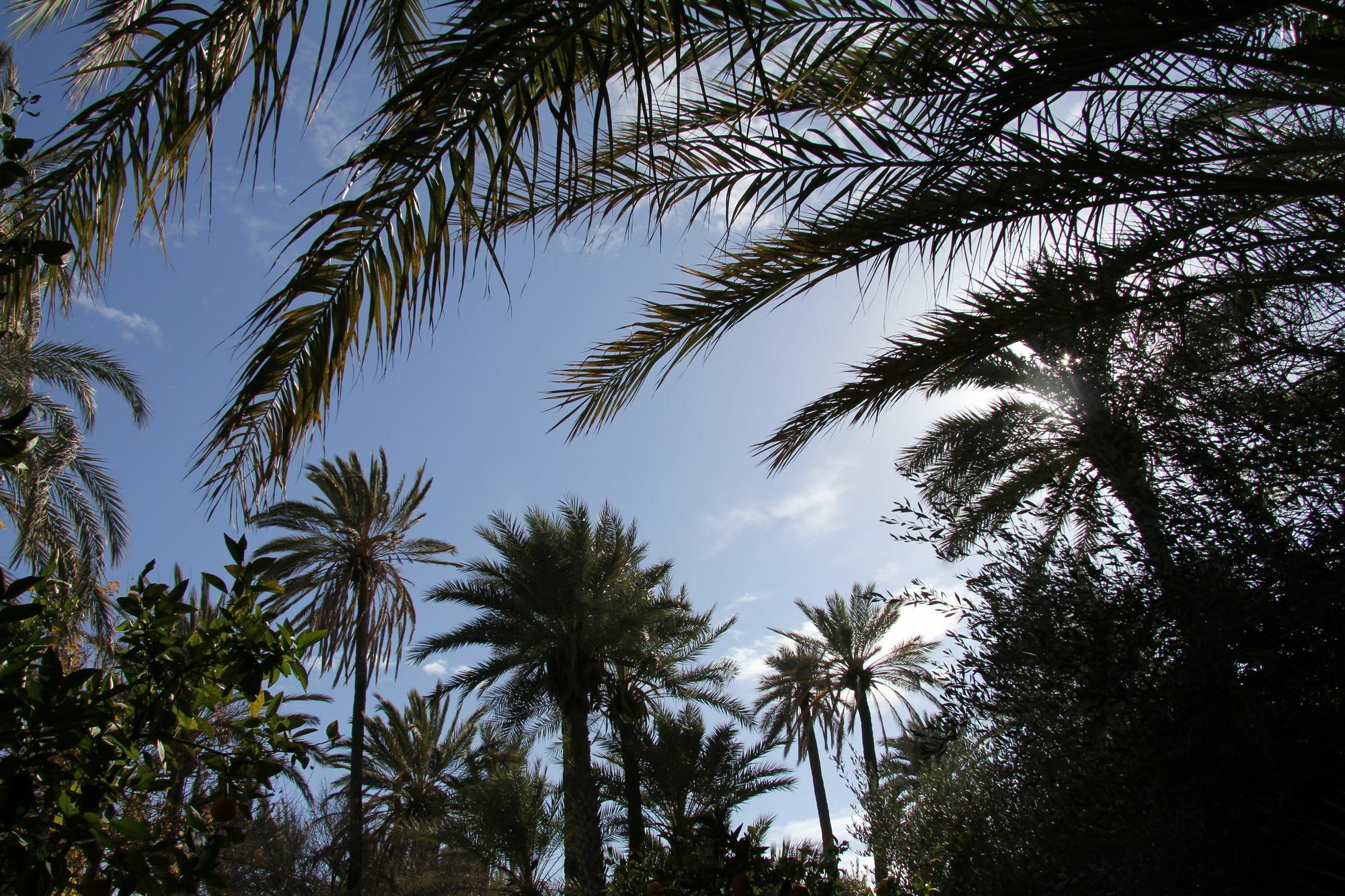 Hotel Jnane Tamsna Marrakesch Exterior foto